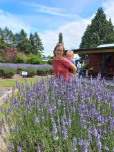 Lauren's Lavender Farm
